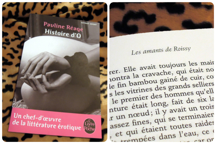 mylittlecoquinebox-histoiredo