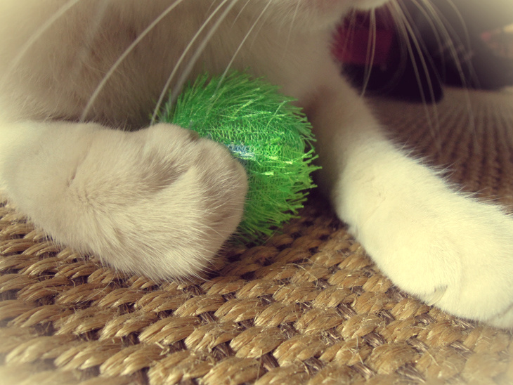 miaoubox_avril_2013_5