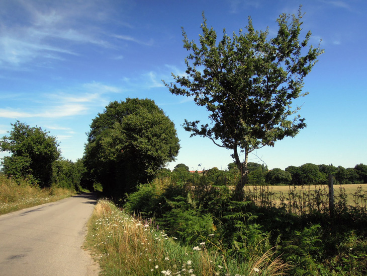 17_le_grand_chemin_rouans