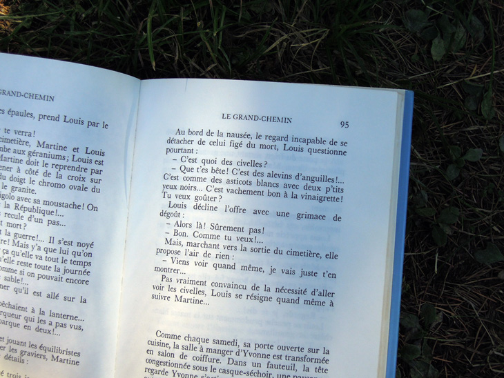 2_livre_film_le_grand_chemin_jean_loup_hubert