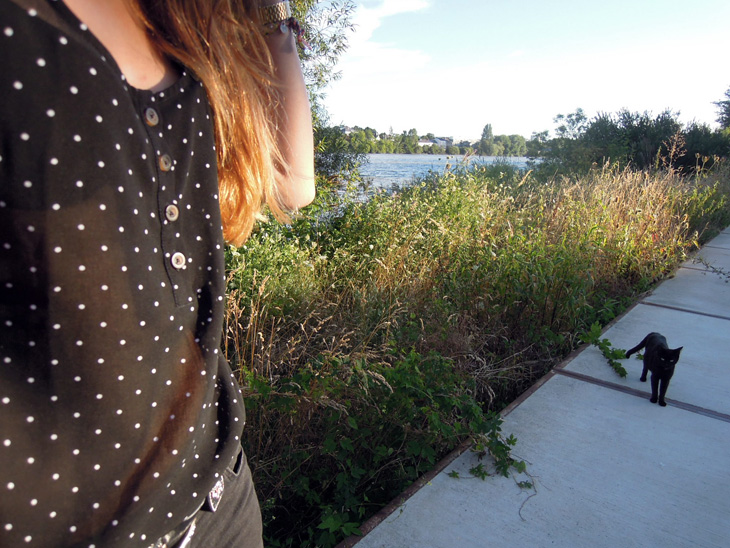 9_top_pois_volcom