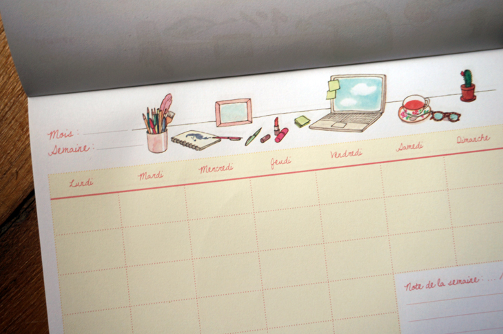 6_my_little_smile_box_janvier_2014_organizer