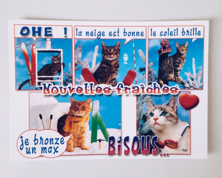 carte_postale_chats