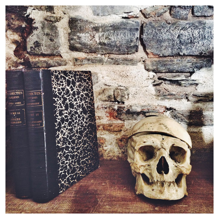 appart_de_la_terre_a_la_lune_nantes