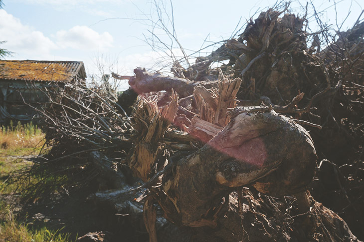 16_urbex_campagne_nantes