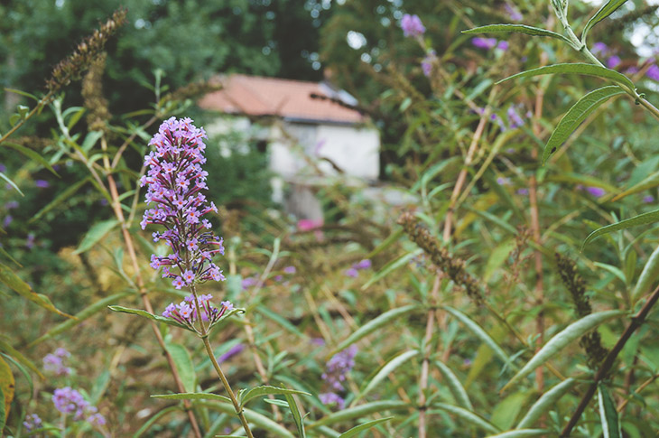 27_urbex_campagne_nantes_maison_abandonnee
