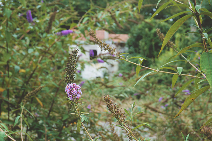 28_urbex_campagne_nantes_maison_abandonnee
