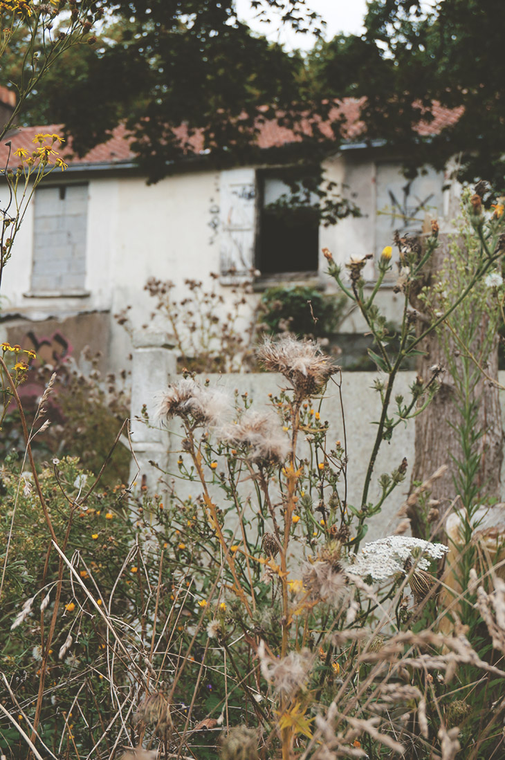 31_urbex_campagne_nantes_maison_abandonnee