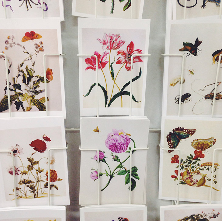 4_cartes_postales_fleurs_bouquinerie_du_ centre_nantes