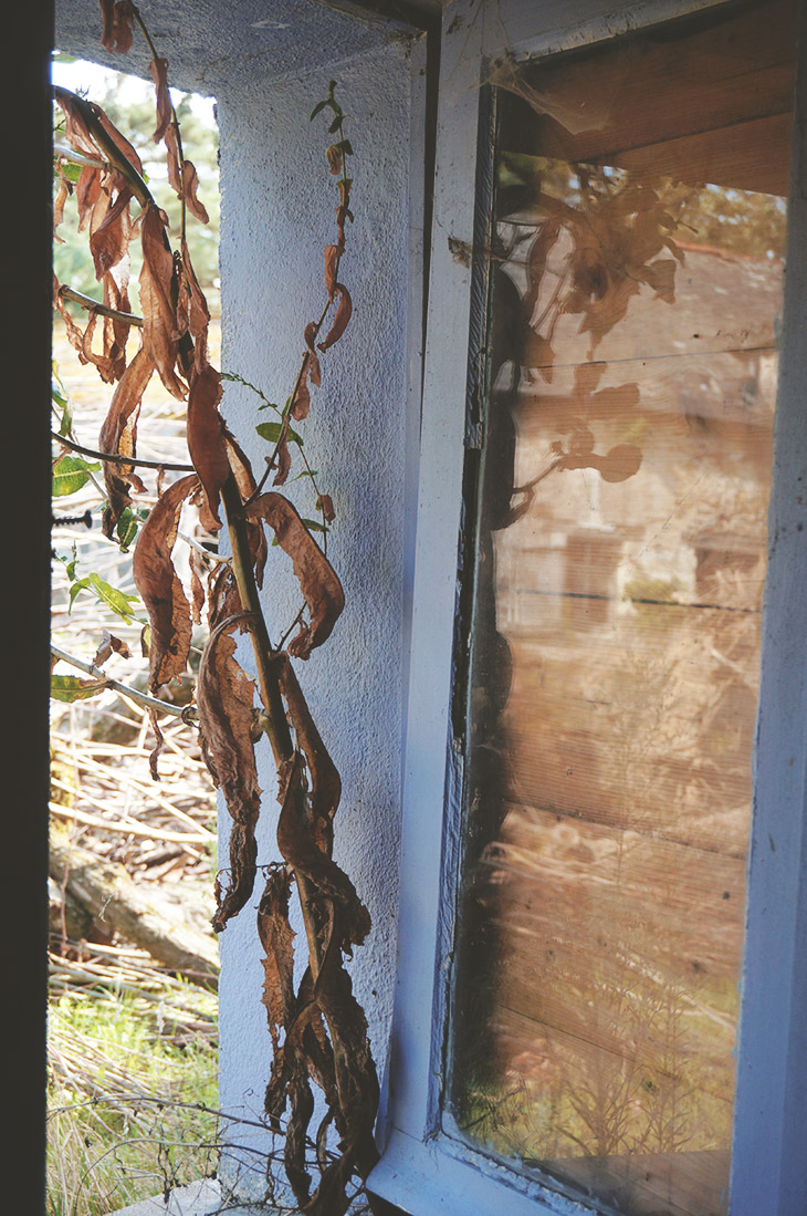 4_urbex_campagne_nantes