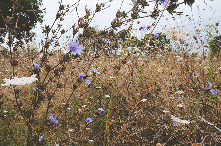 9_urbex_campagne_nantes