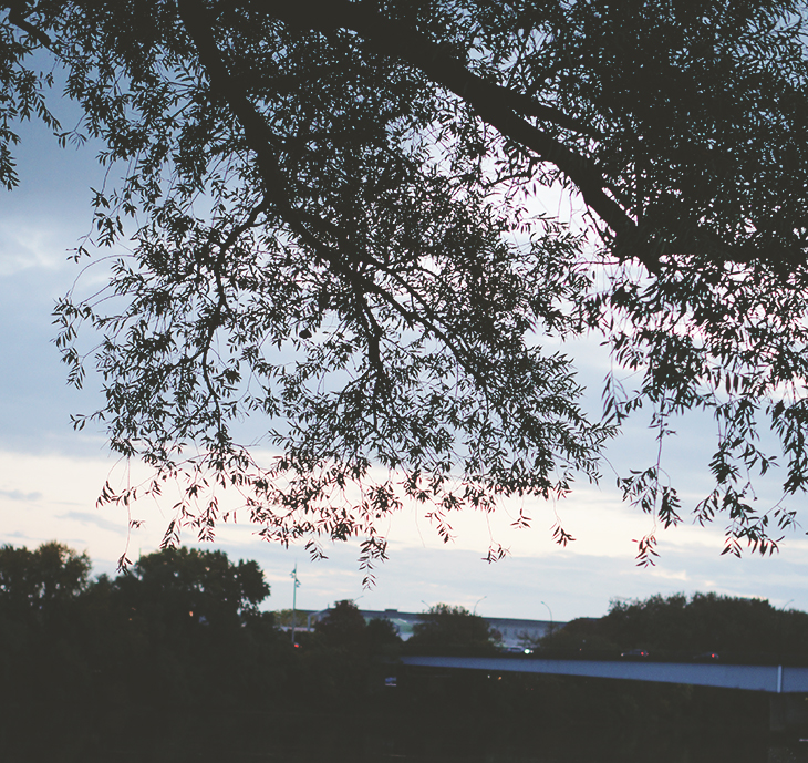 1_look_blog_mode_nantes_robe_sheinside_boots_motardes_jonak