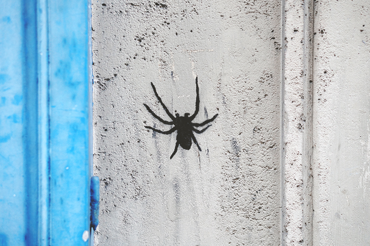 37_photos_paris_street_art