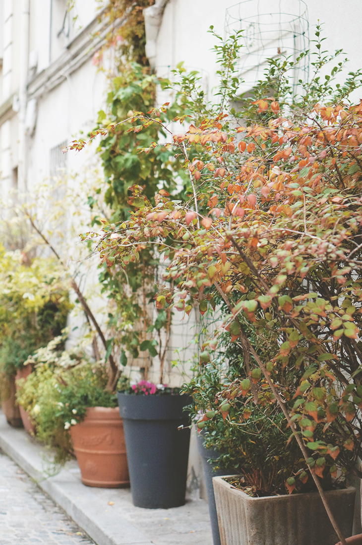 5_look_blog_mode_manteau_vero_moda_sojeans_short_levis_501_sac_dos_petitsesame_boots_motardes_jonak