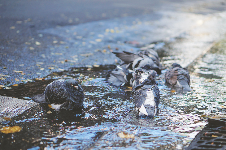 6_photos_paris_street_art