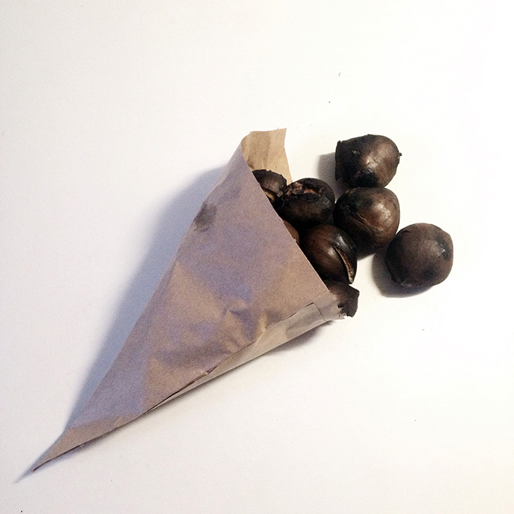 1_marrons_chaud_marche_noel_nantes