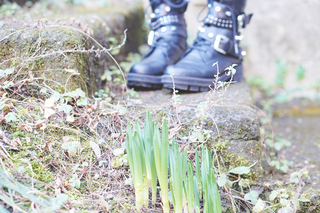 3_look_blog_mode_topeplum_pretty_wire_dentelle_zara_motarde_tamaris