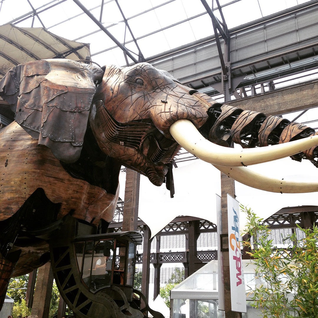 6_web2day_nantes_2015_elephant
