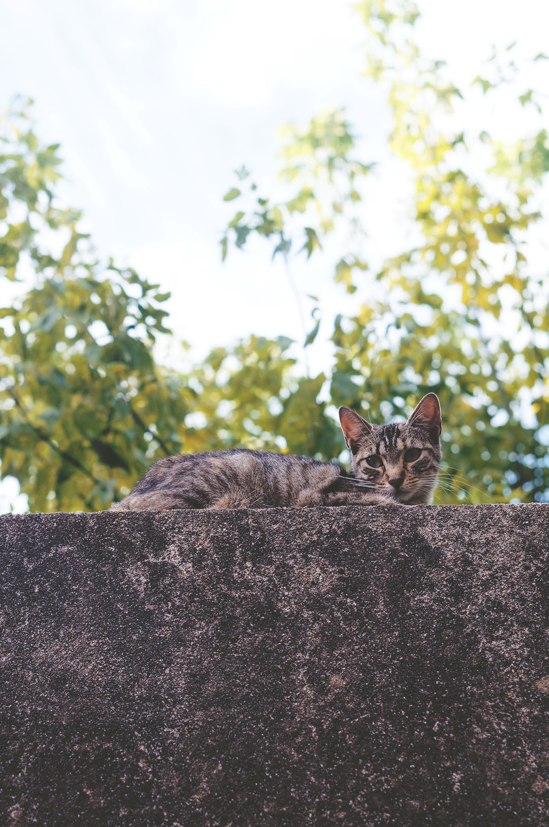 11_look_blog_mode_jean_hm_sandales_lacees_nude_boohoo