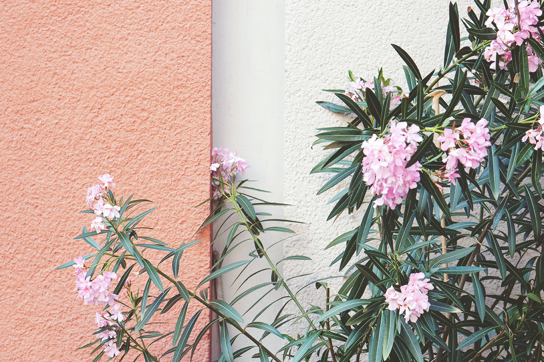 15_blog_mode_lifestyle_voyahe_berlin_street_art_mur