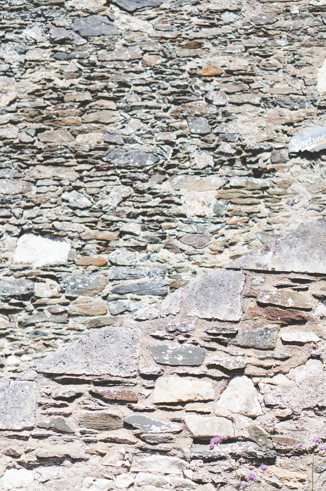 12_ile_behuard_angers_loire