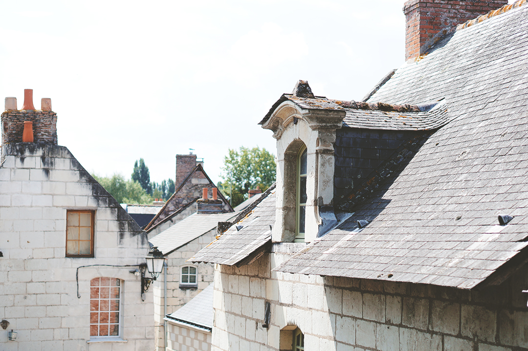 14_ile_behuard_angers_loire