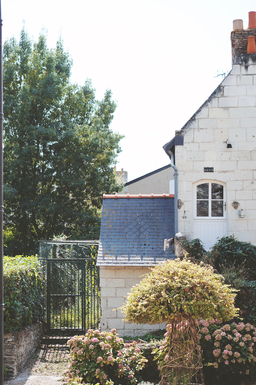 15_ile_behuard_angers_loire