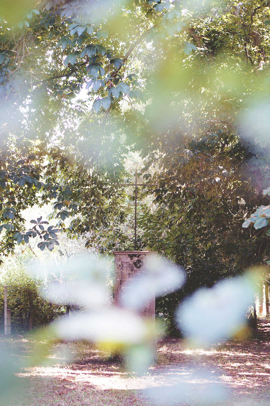 19_ile_behuard_angers_loire