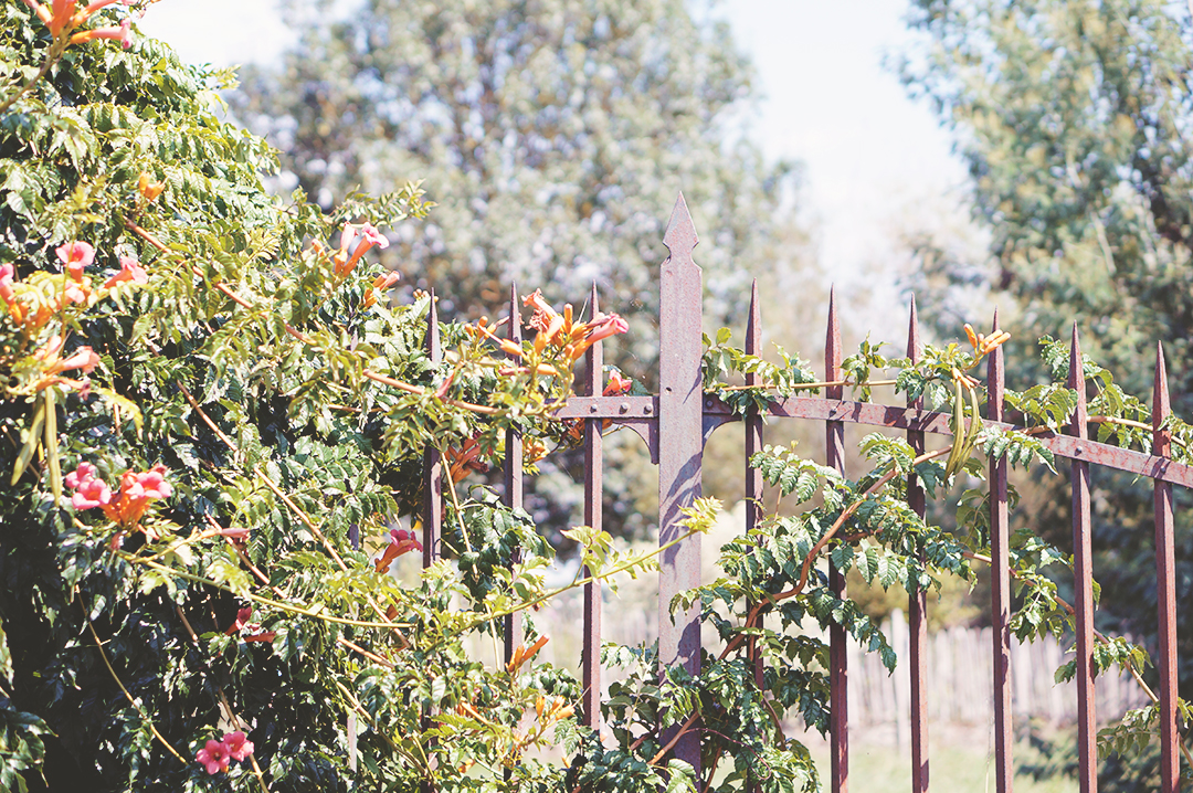 20_ile_behuard_angers_loire