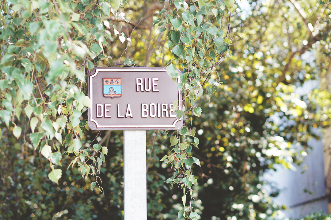 21_ile_behuard_angers_loire