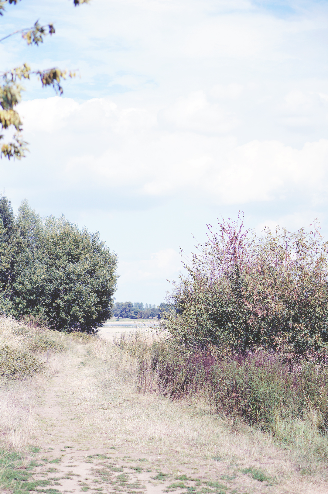 22_ile_behuard_angers_loire