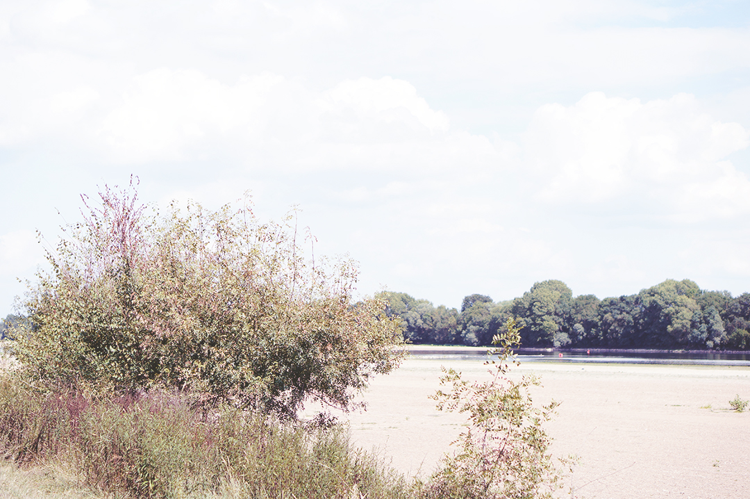 23_ile_behuard_angers_loire