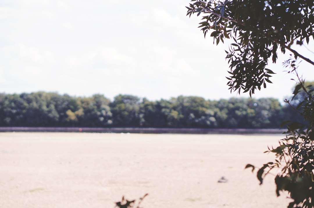 24_ile_behuard_angers_loire