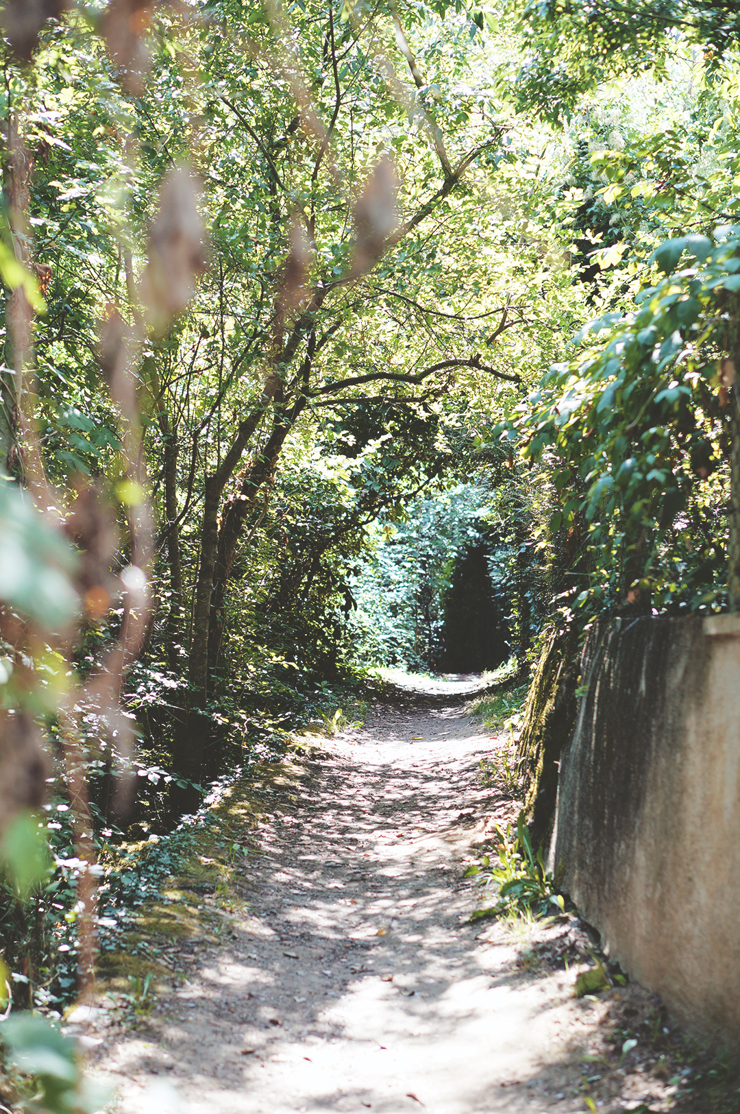 25_ile_behuard_angers_loire