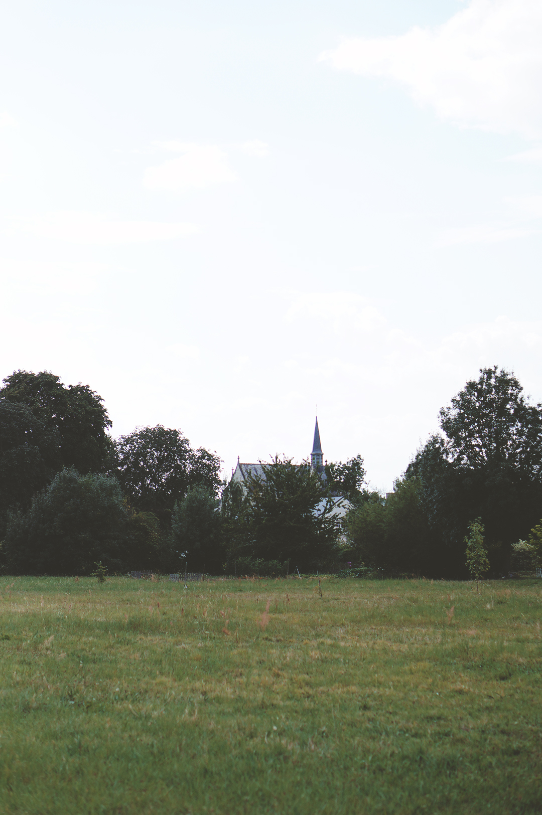 29_ile_behuard_angers_loire