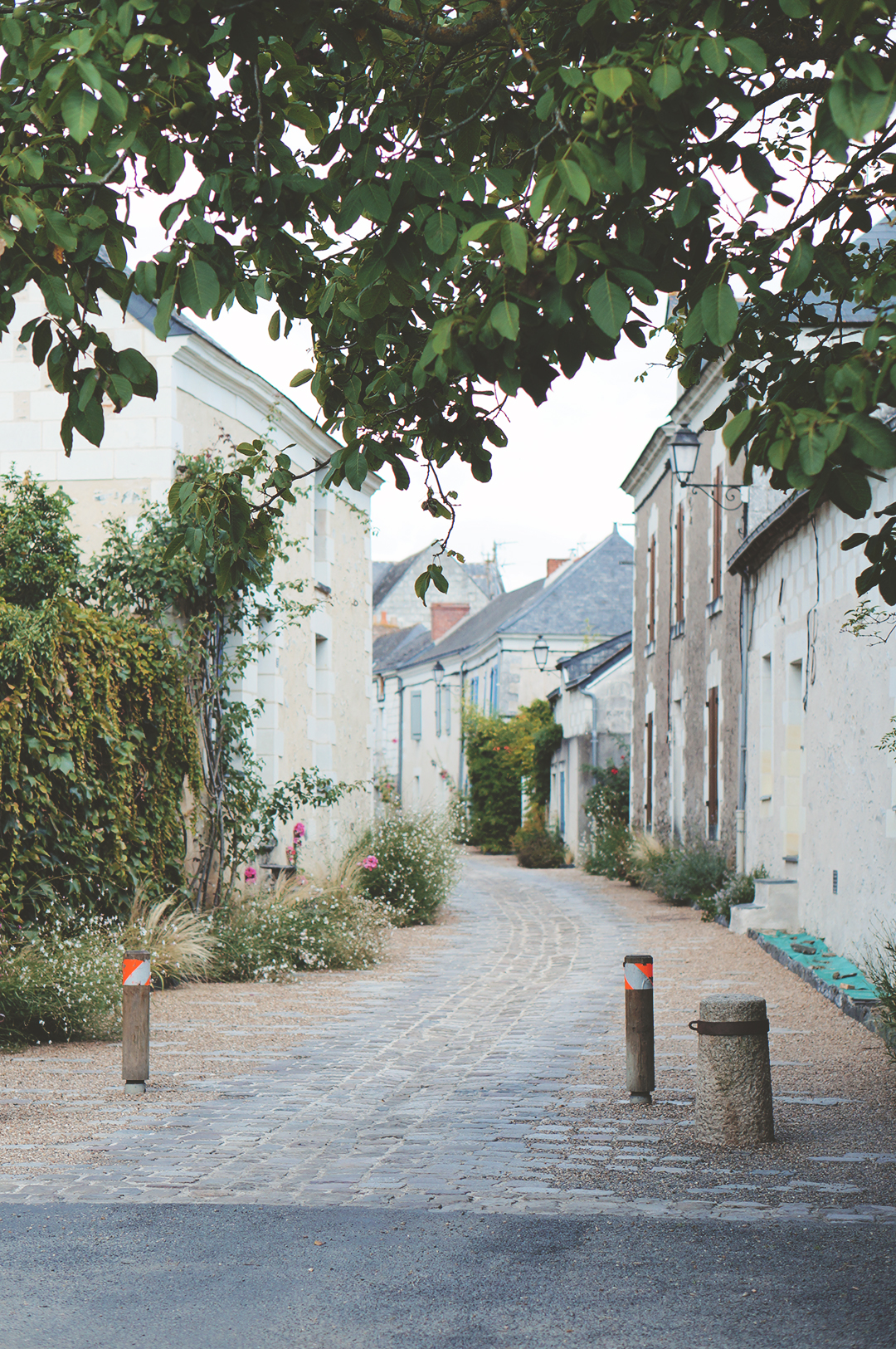 2_ile_behuard_angers_loire