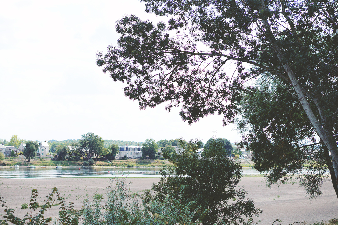 30_ile_behuard_angers_loire