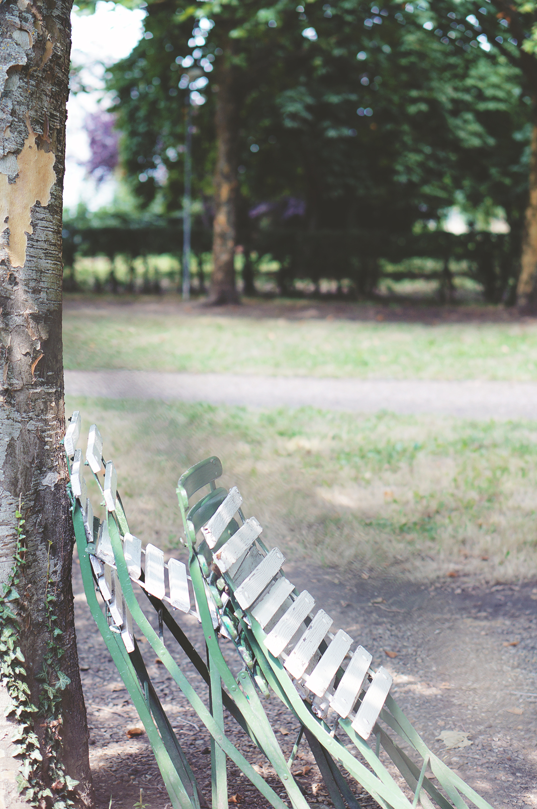 37_ile_behuard_angers_loire