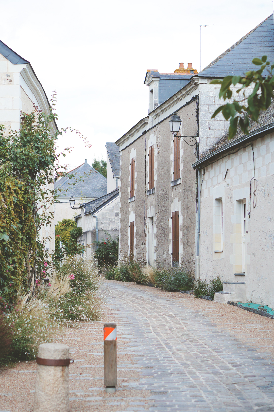 3_ile_behuard_angers_loire