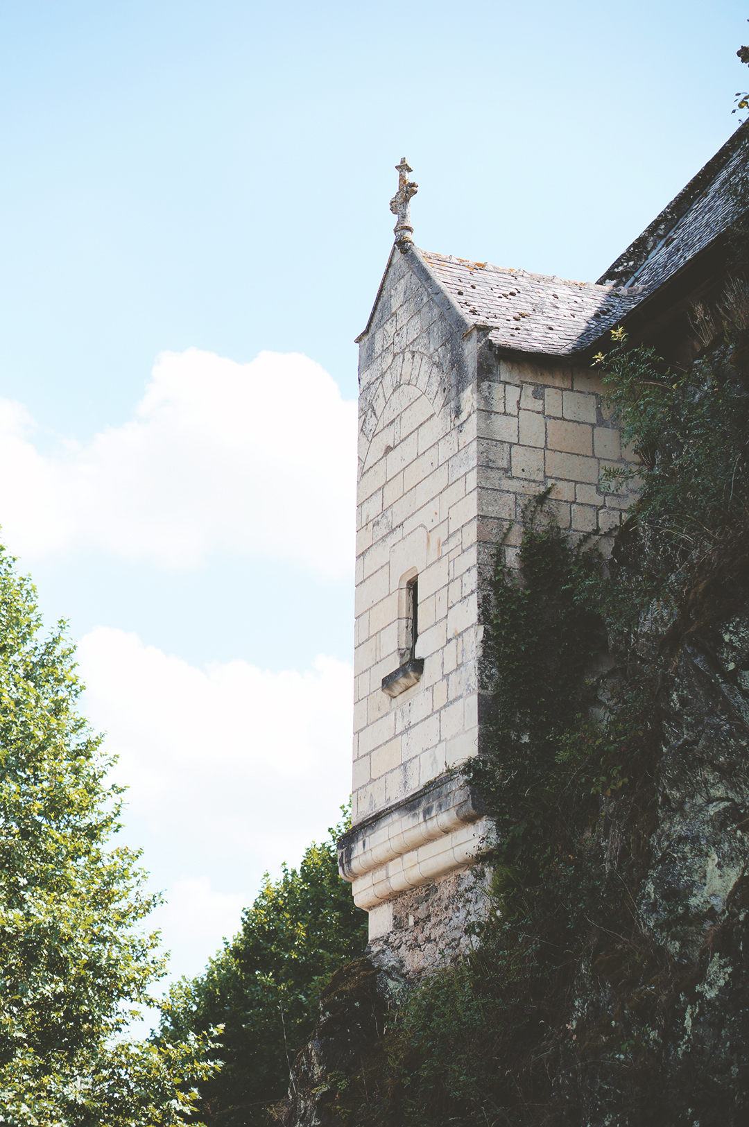 41_ile_behuard_angers_loire