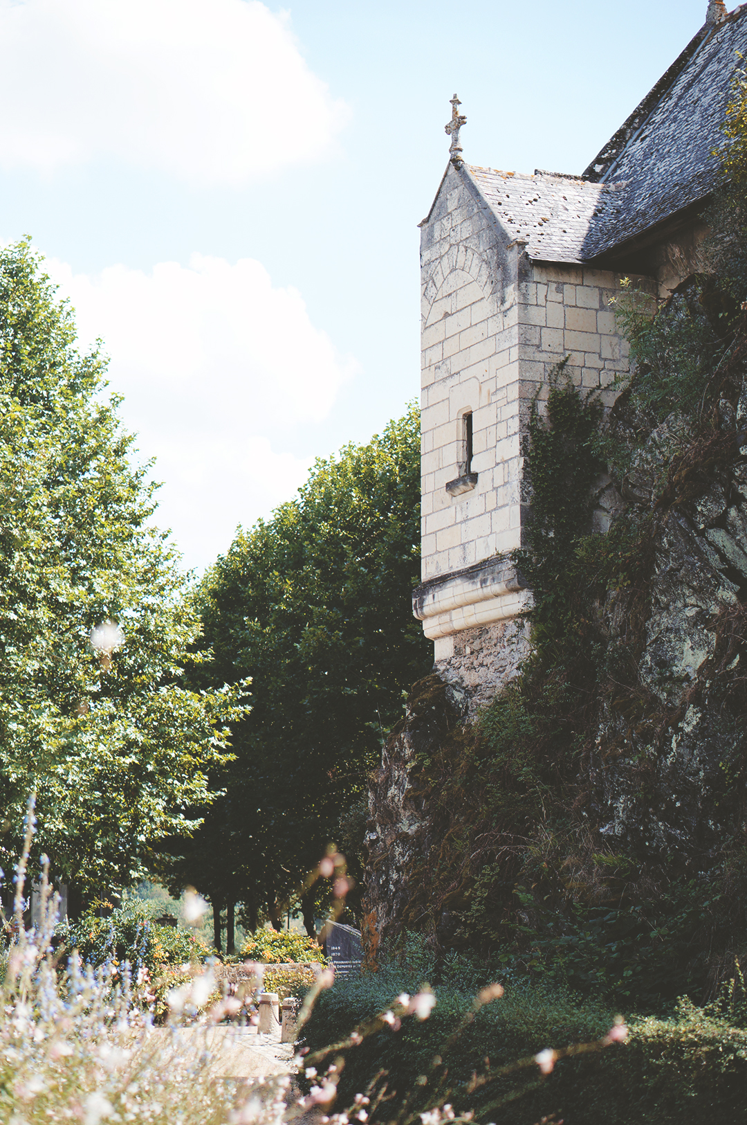 42_ile_behuard_angers_loire