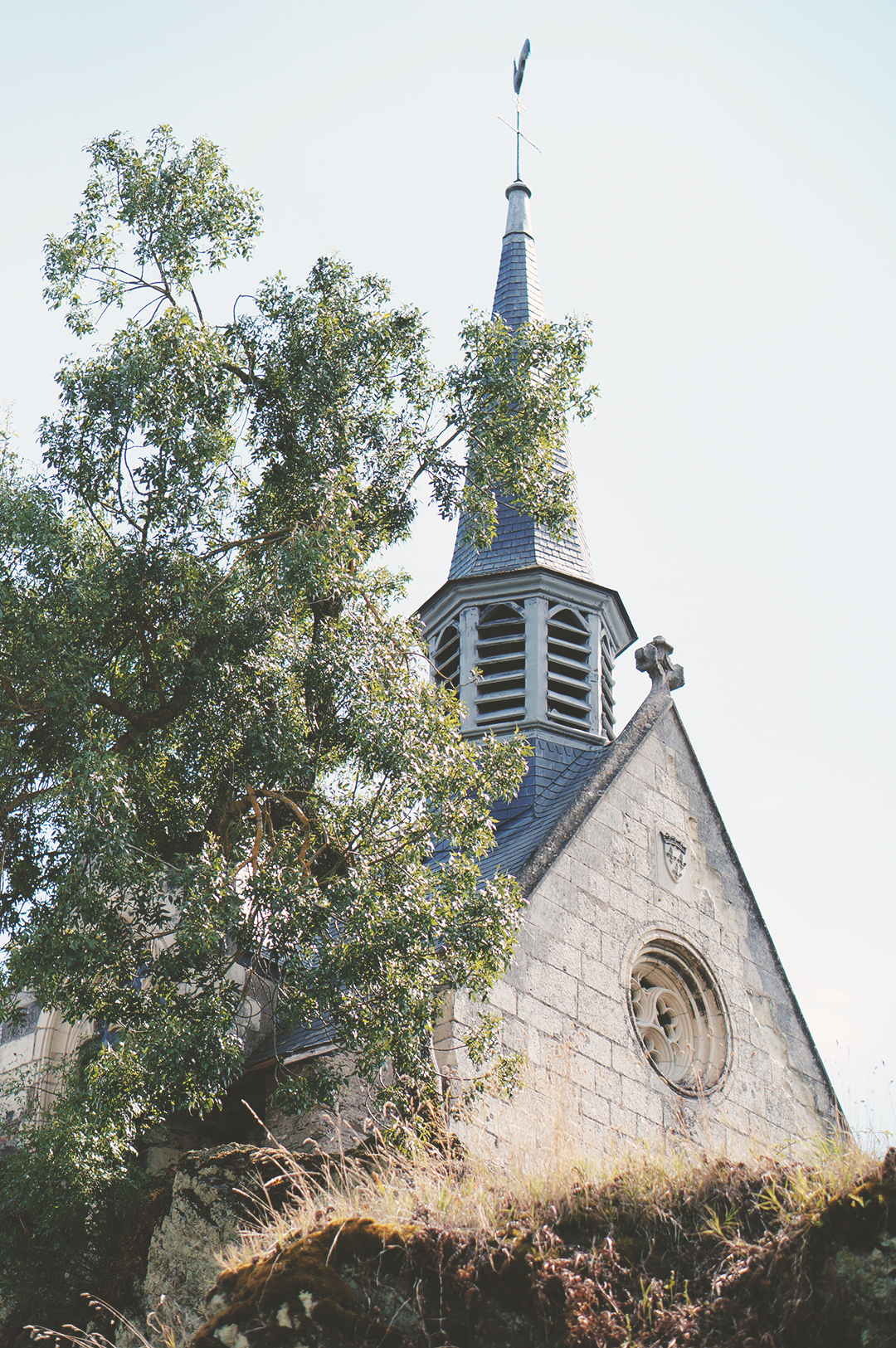 43_ile_behuard_angers_loire