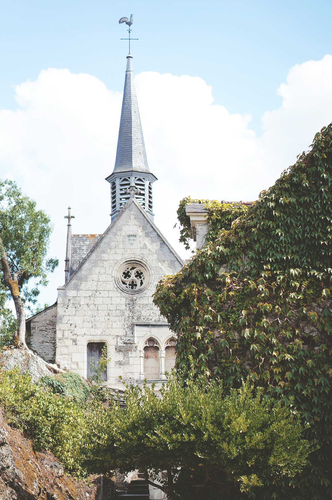 46_ile_behuard_angers_loire