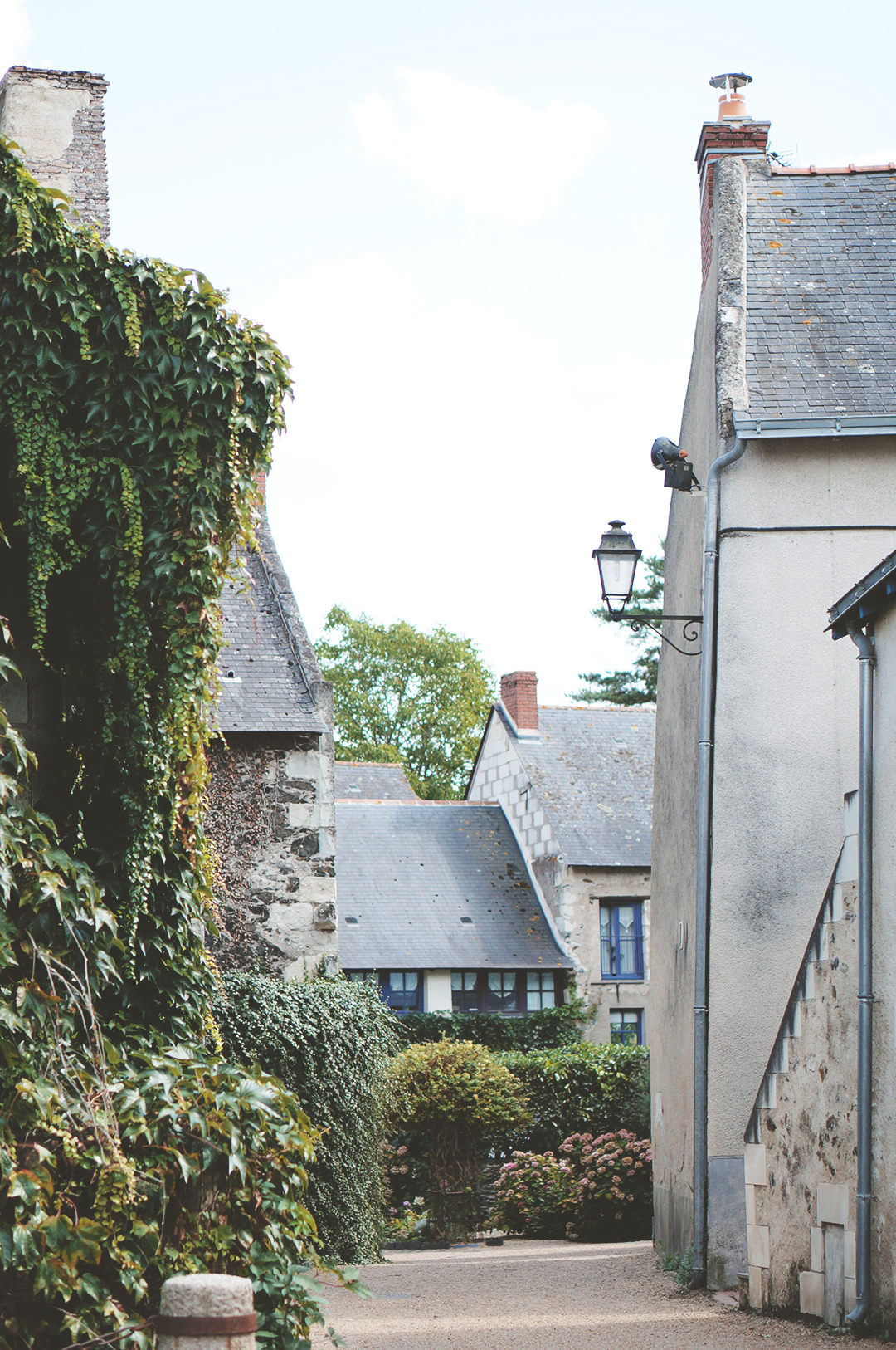 47_ile_behuard_angers_loire