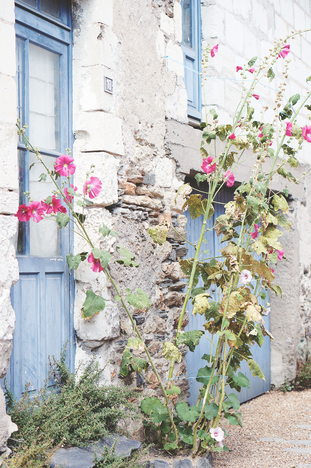 4_ile_behuard_angers_loire