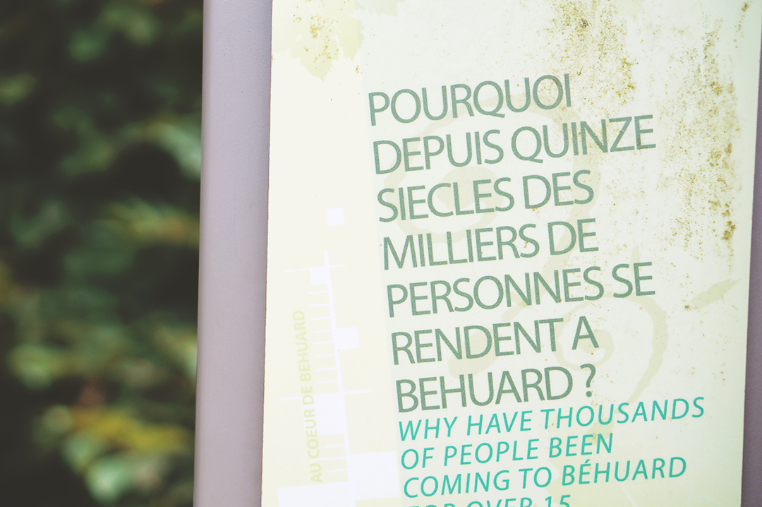 51_ile_behuard_angers_loire