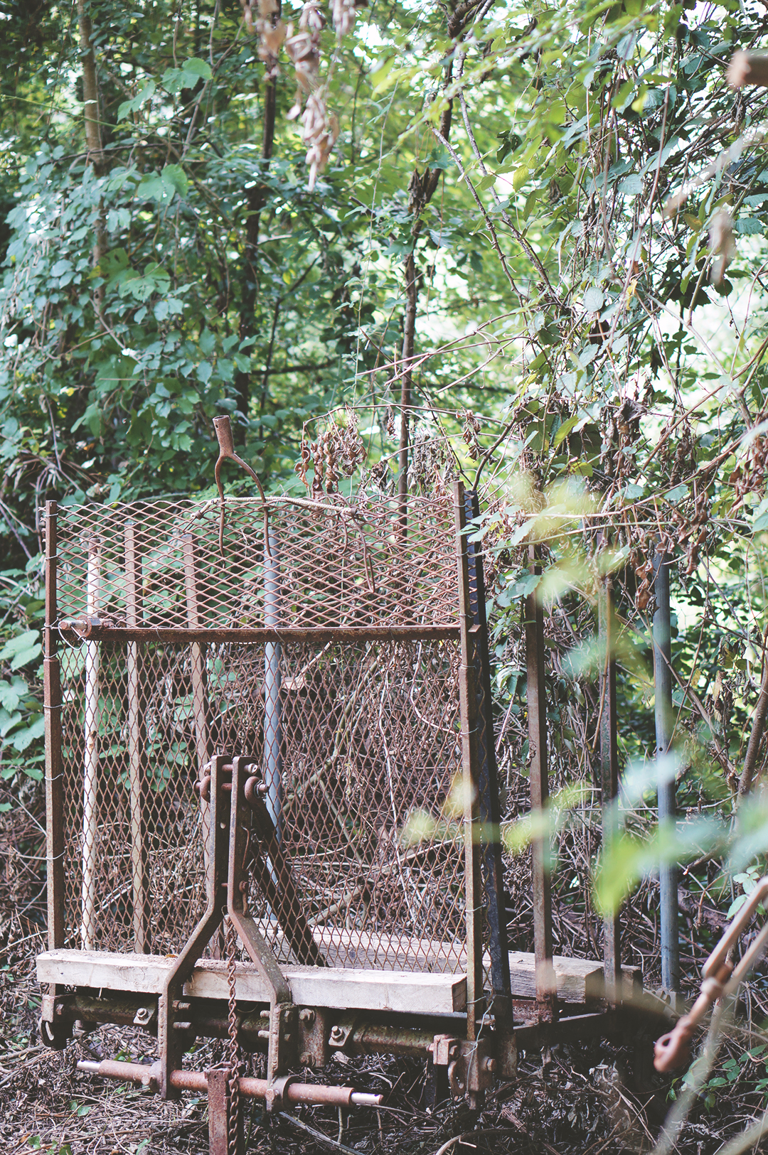 56_ile_behuard_angers_loire