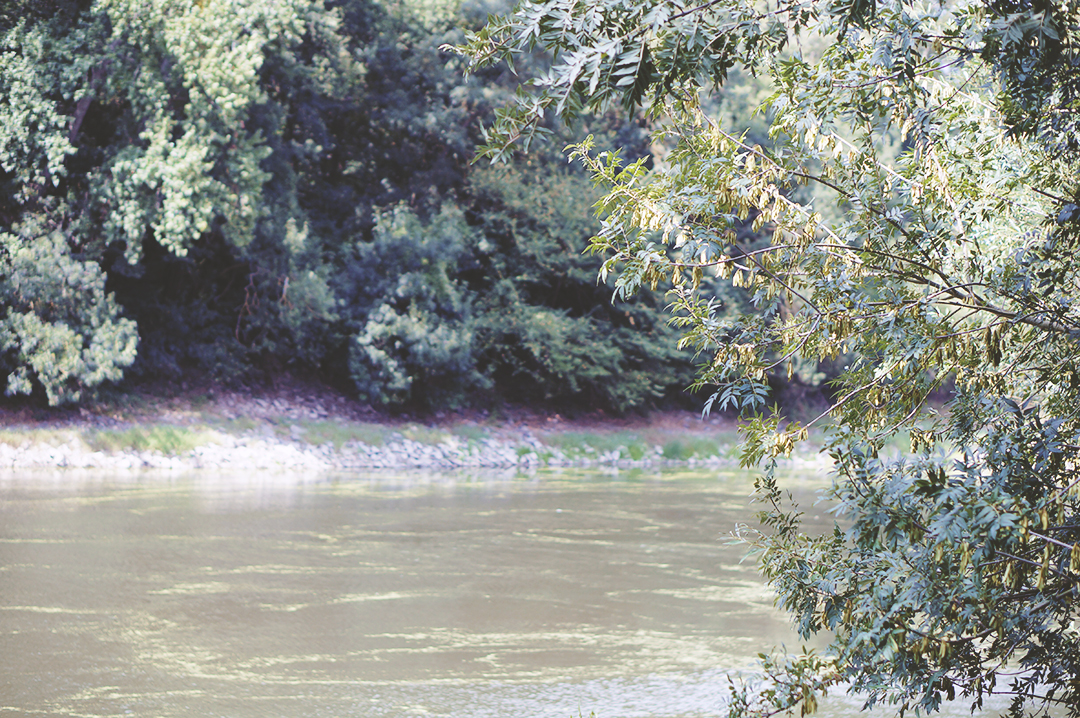 58_ile_behuard_angers_loire