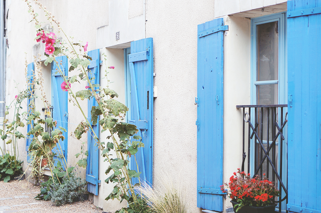 5_ile_behuard_angers_loire