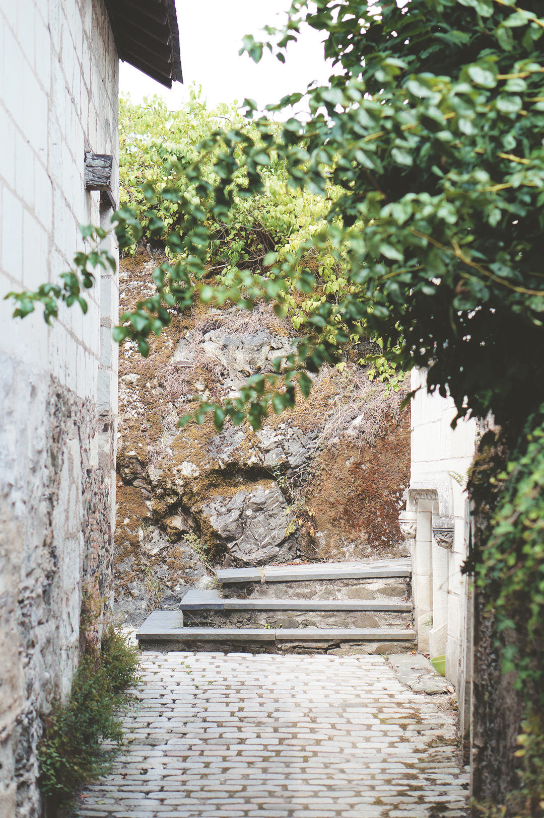 62_ile_behuard_angers_loire